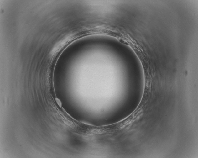 X0000089740341200706211507
