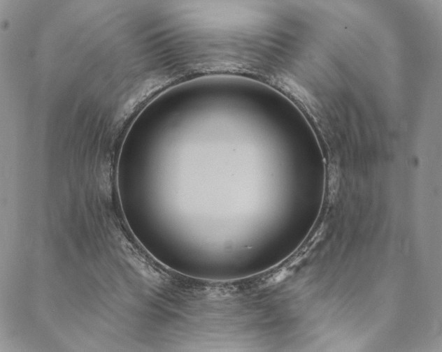 X0000089740345200706211507