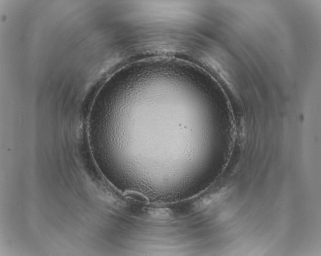 X0000089740355200706211508