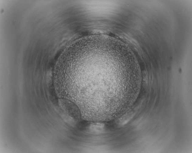 X0000089740369200706211508