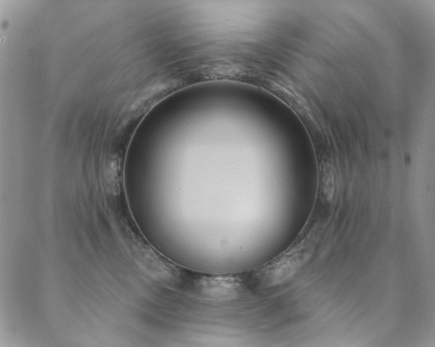 X0000089740378200706211508