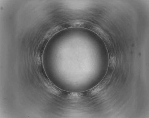 X0000089740381200706211508