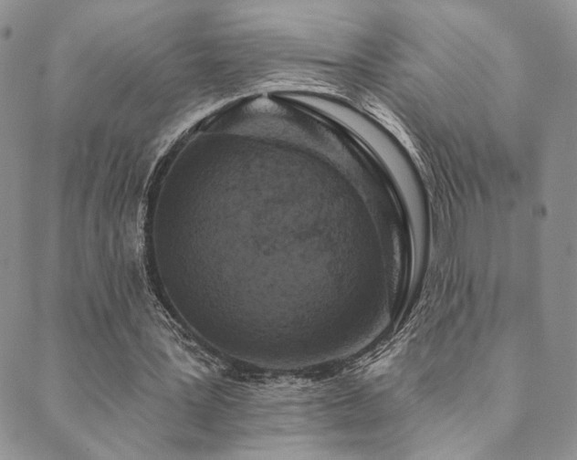 X0000089740387200706211507
