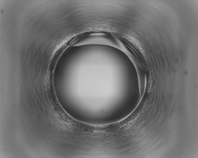 X0000089740388200706211507