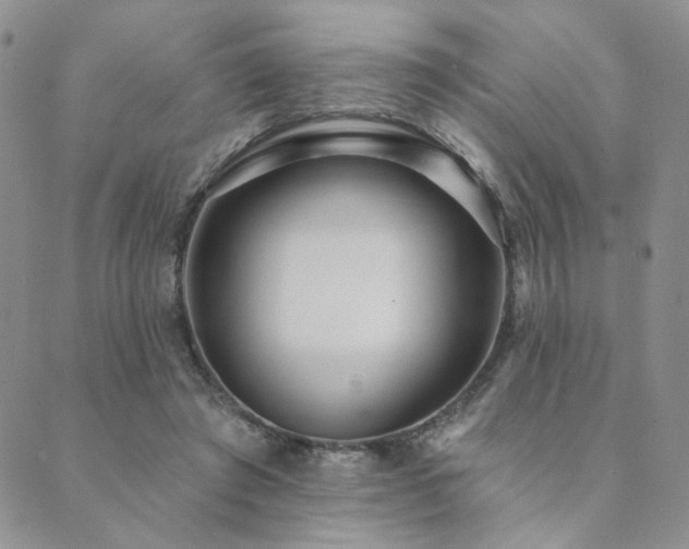 X0000089740401200706211507