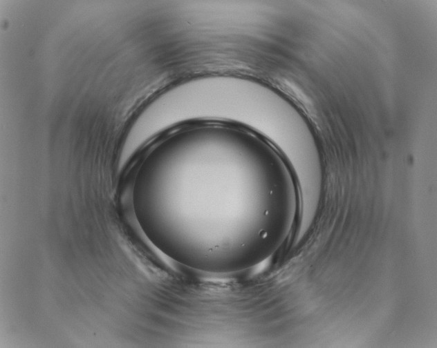 X0000089740405200706211507
