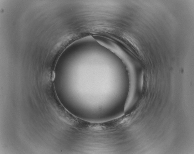 X0000089740407200706211507