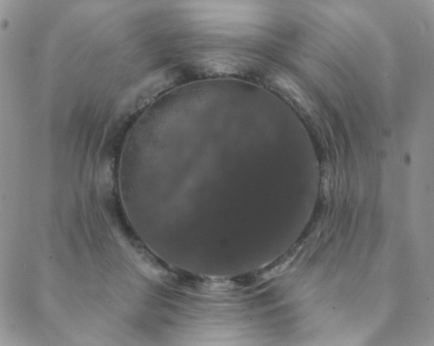 X0000089740410200706211507