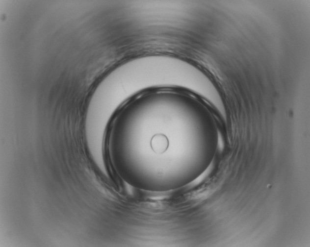 X0000089740411200706211507