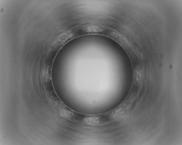 X0000089740422200706211507