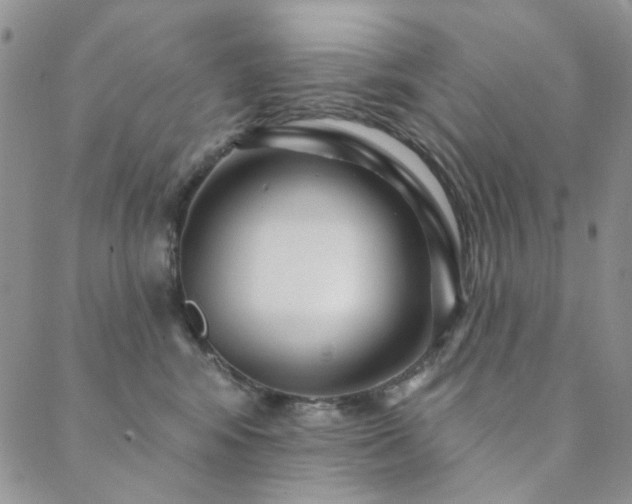 X0000089740424200706211507