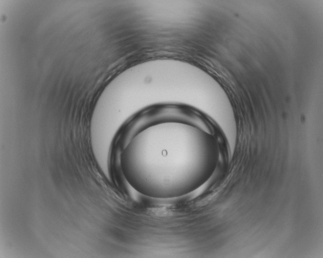 X0000089740425200706211507