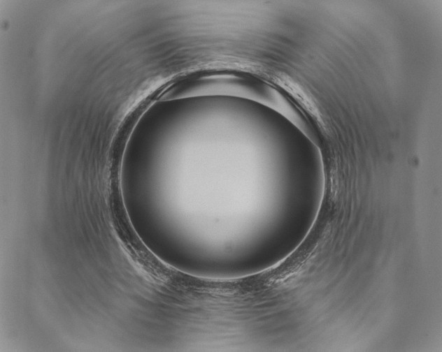 X0000089740436200706211506