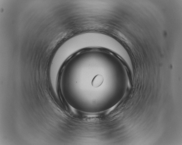 X0000089740452200706211506