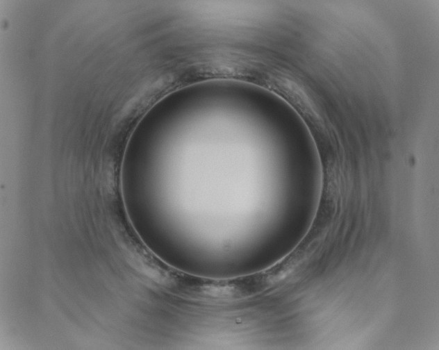 X0000089740457200706211506