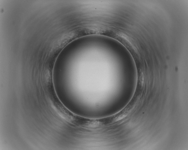 X0000089740459200706211506