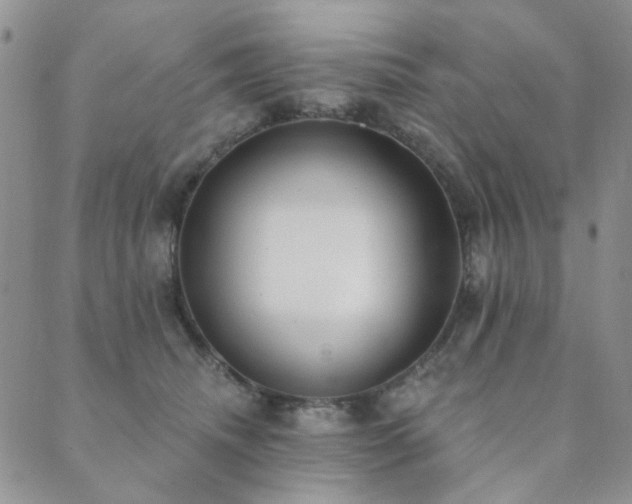 X0000089740468200706211506