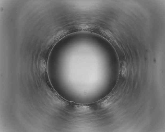 X0000089740476200706211506
