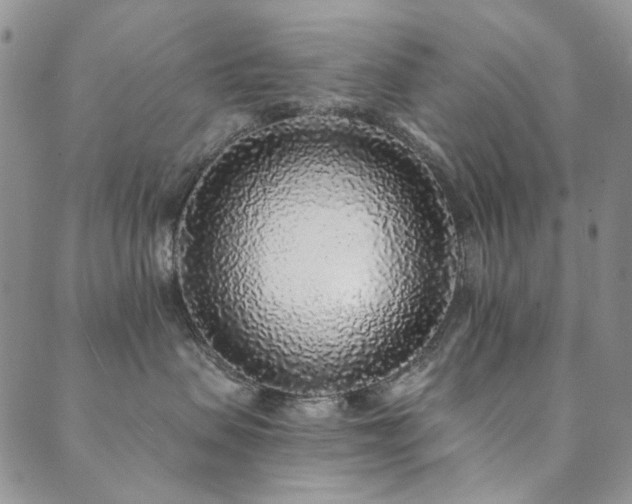 X0000089740479200706211506