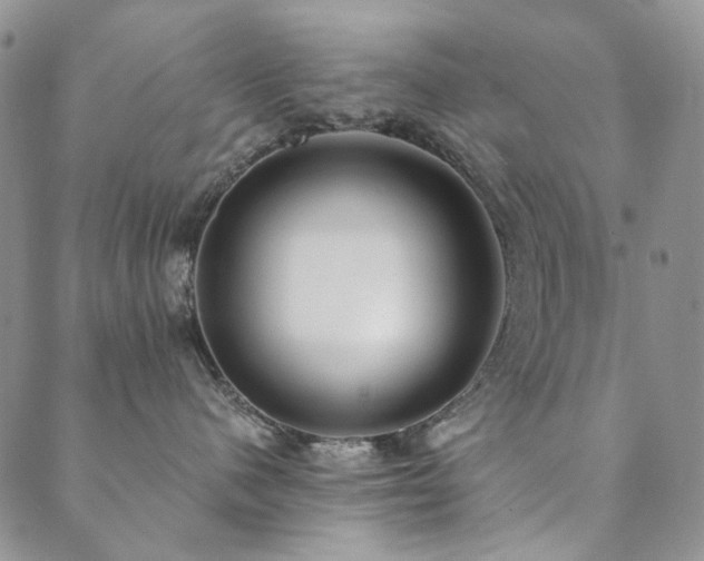X0000089740480200706211506