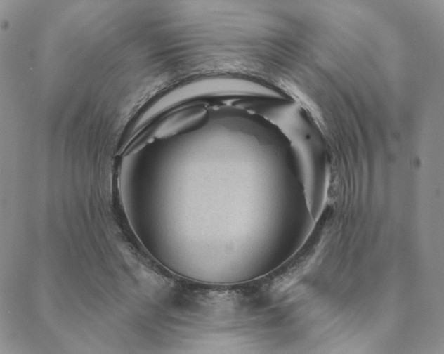 X0000089740493200706211505