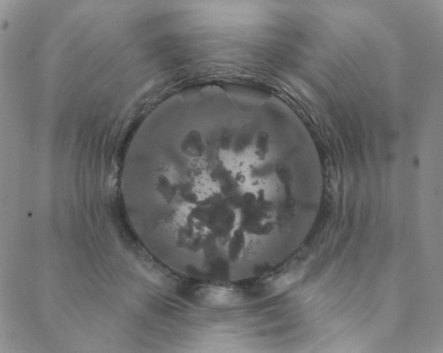 X0000089740507200706211505