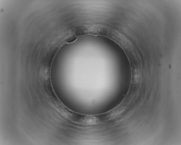 X0000089740514200706211505