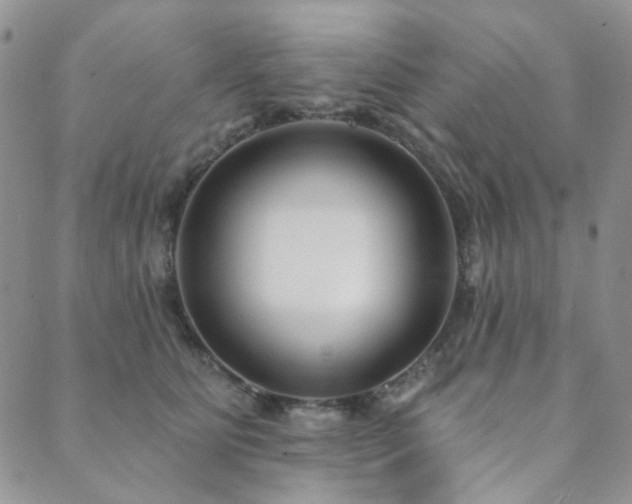X0000089740515200706211505