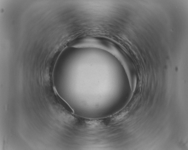 X0000089740516200706211505