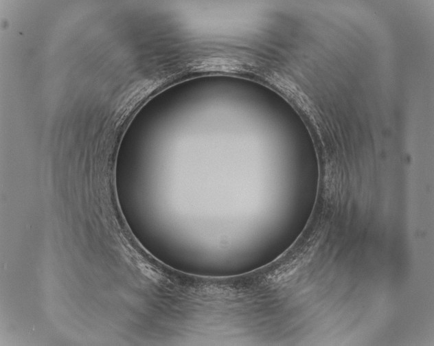 X0000089740529200706211504