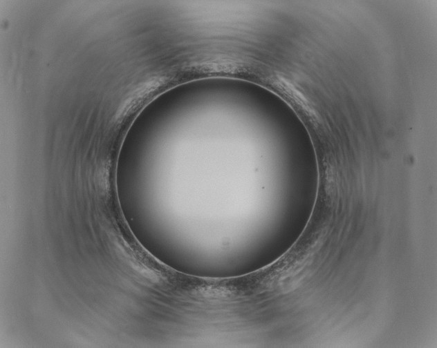 X0000089740537200706211504