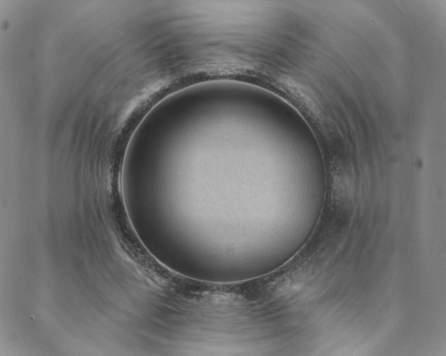 X0000089740539200706211504