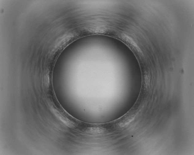 X0000089740541200706211504