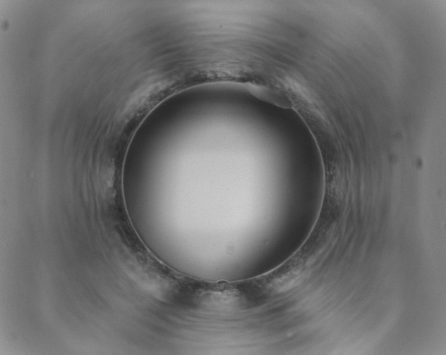X0000089740548200706211504