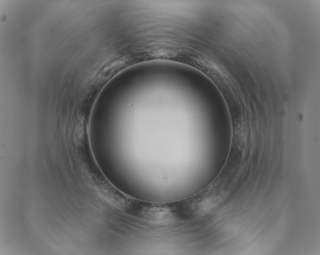 X0000089740554200706211504