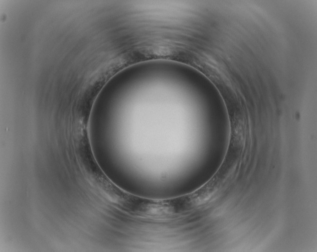 X0000089740555200706211505