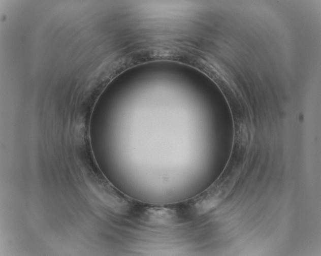 X0000089740557200706211505
