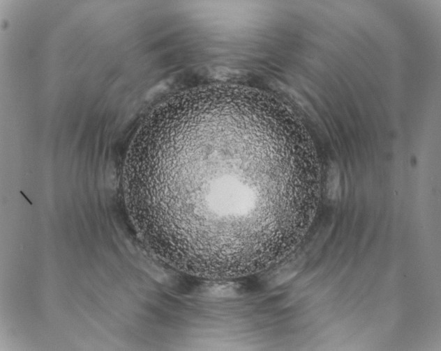 X0000089740569200706211505