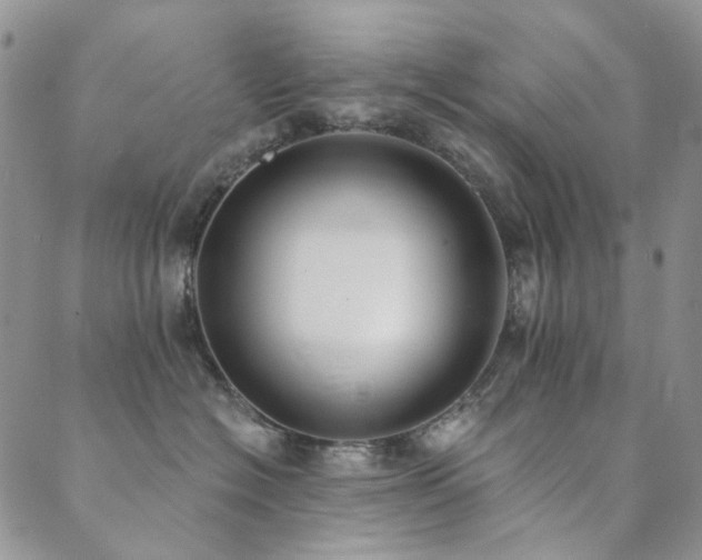 X0000089740574200706211505