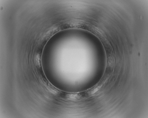 X0000089740575200706211505