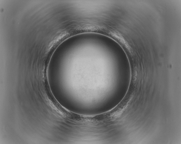 X0000089740585200706211504