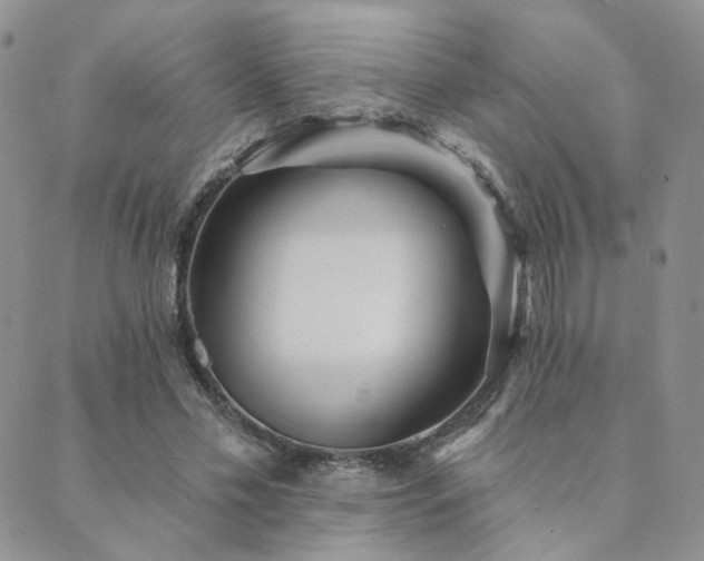 X0000089740589200706211504