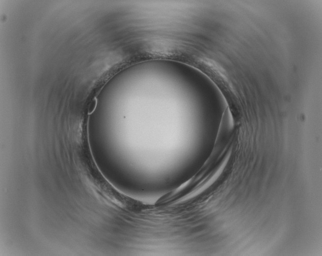 X0000089740596200706211504