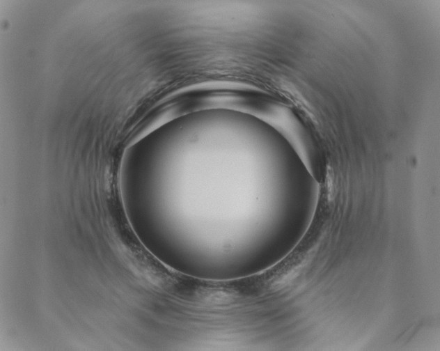 X0000089740597200706211504