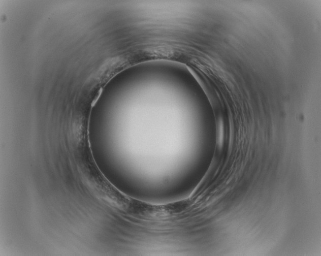 X0000089740600200706211504