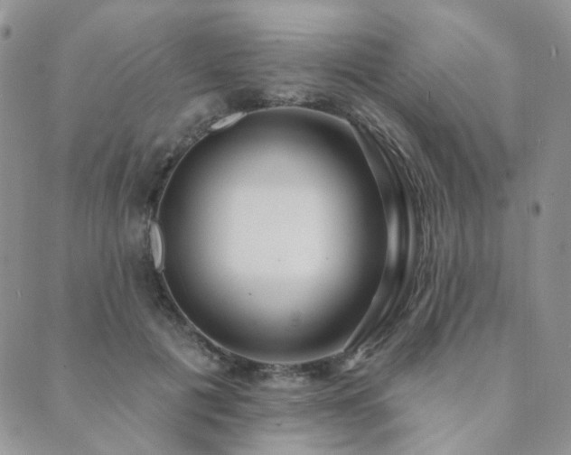 X0000089740601200706211504