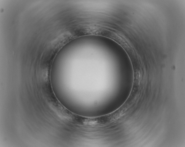 X0000089740602200706211504