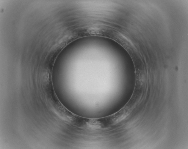 X0000089740603200706211504