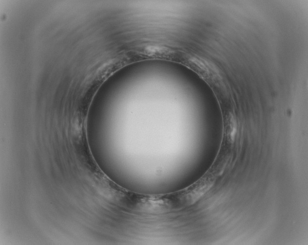 X0000089740607200706211504