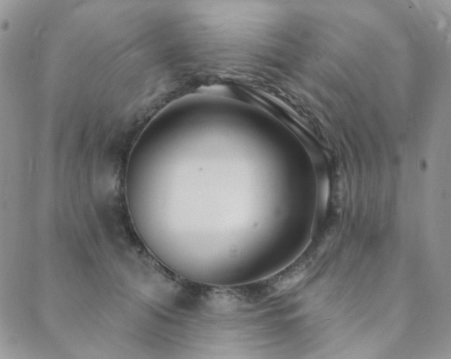 X0000089740608200706211504